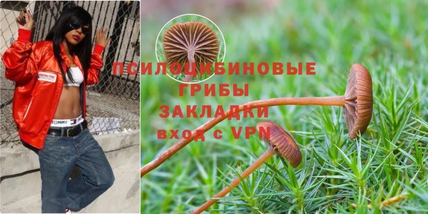 твердый Лабытнанги