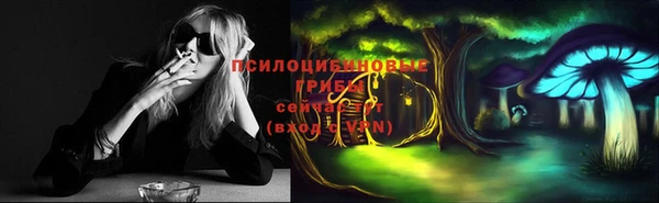 скорость Ладушкин