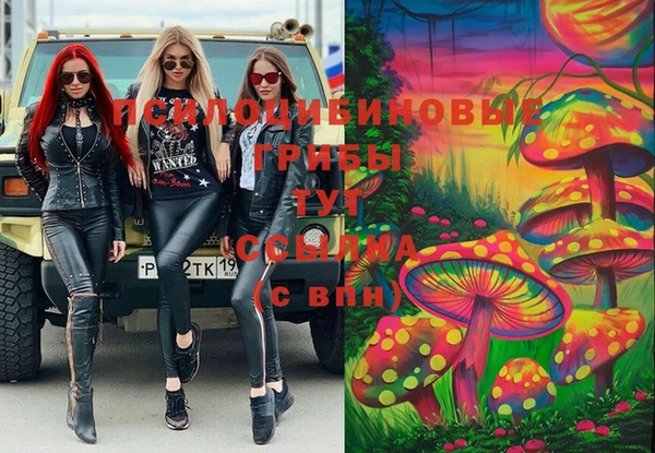 скорость Ладушкин