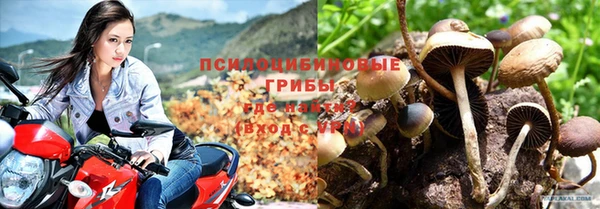 скорость Ладушкин