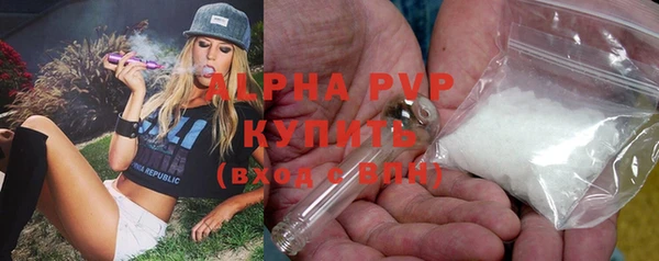 скорость Ладушкин