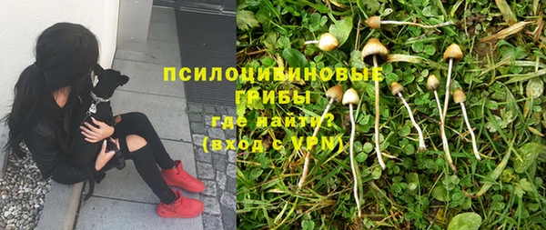 марки nbome Лагань