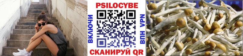 KRAKEN зеркало Туран Псилоцибиновые грибы GOLDEN TEACHER цена